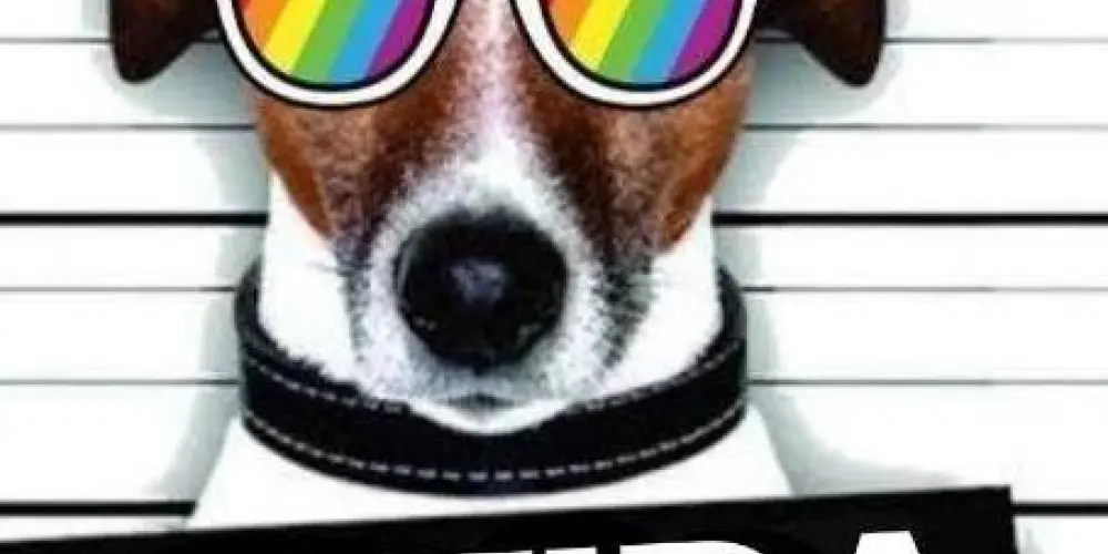 Imagem do grupo de WhatsApp Zoeira mil