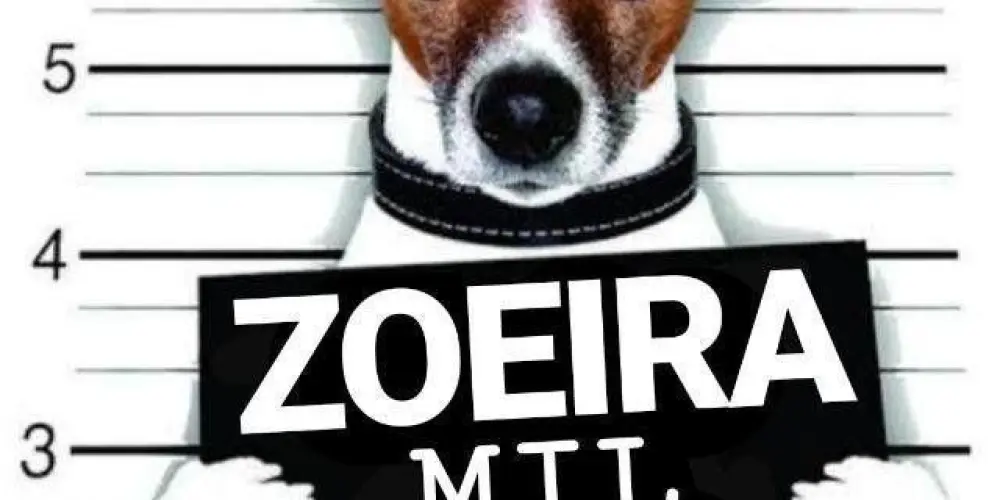 Imagem do grupo de WhatsApp Zoeira mil grau 🤪