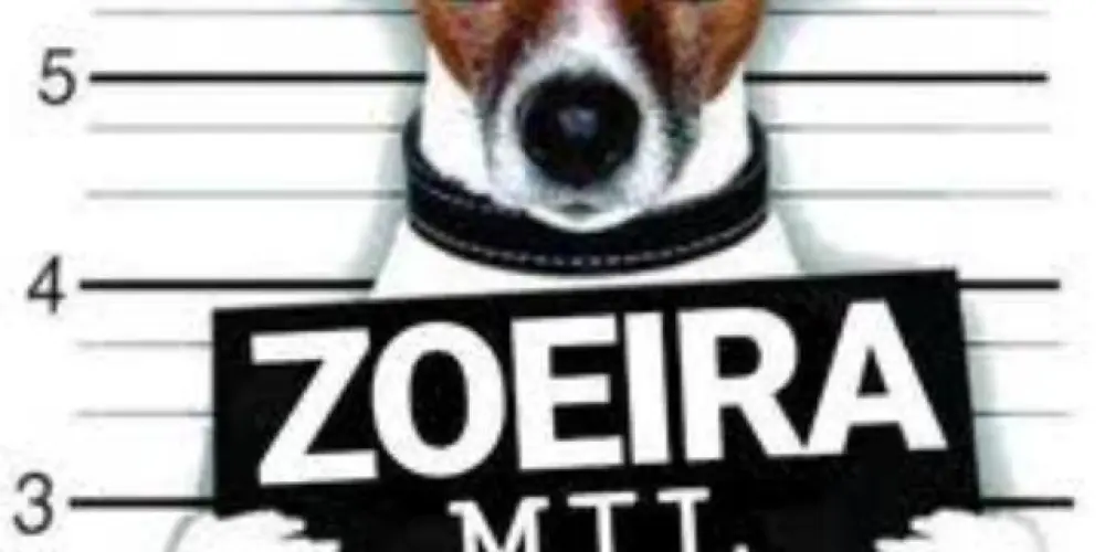 Imagem do grupo de WhatsApp Zoeira mil grau