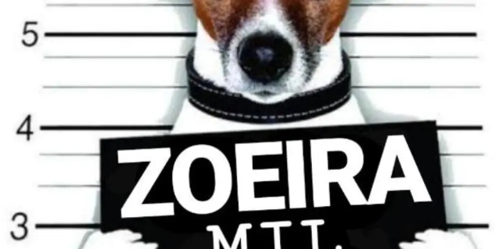 Imagem do grupo de WhatsApp Zoeira Mil Grau