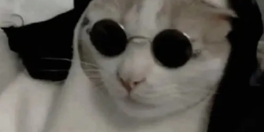 Imagem do grupo de WhatsApp ꧁̶Z̶O̶E̶I̶R̶A̶ ̶O̶N̶L̶I̶N̶E̶꧂