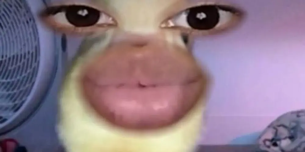 Imagem do grupo de WhatsApp Zoeira sem limites