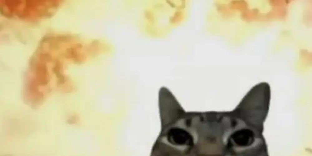 Imagem do grupo de WhatsApp Zoeira total