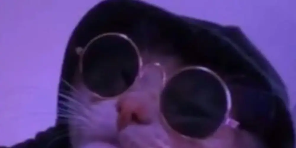 Imagem do grupo de WhatsApp Zoeira total