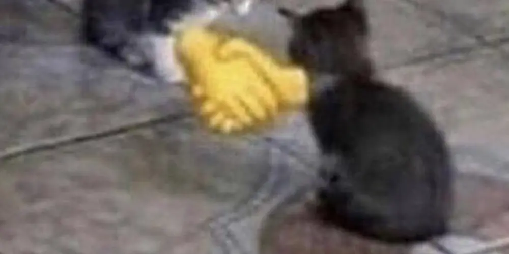 Imagem do grupo de WhatsApp ZOEIRA X AMIZADES