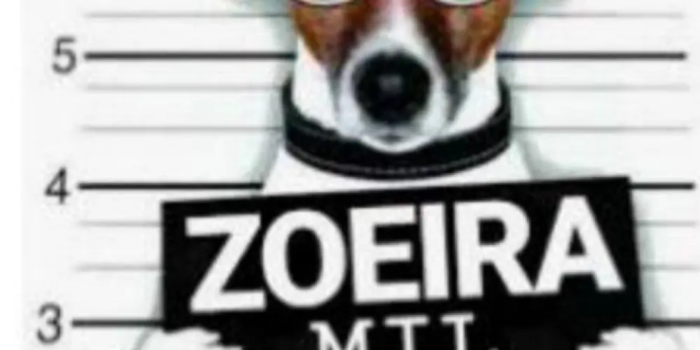 Imagem do grupo de WhatsApp ZOEIRAS 24h