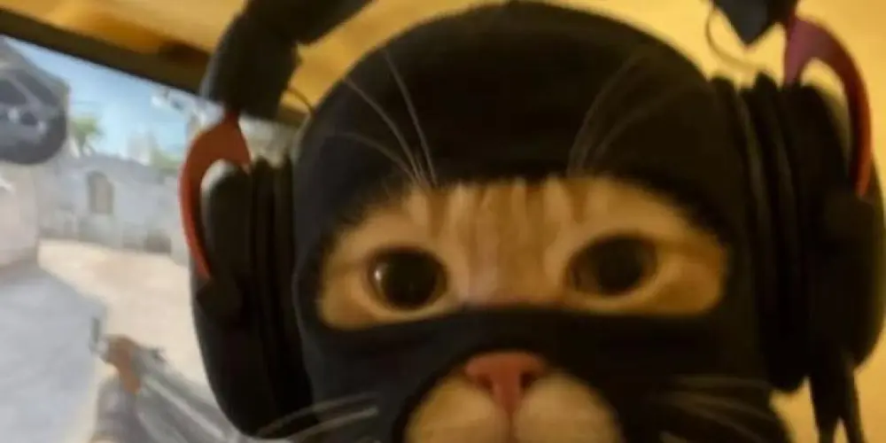 Imagem do grupo de WhatsApp ZOEIRAS 24H