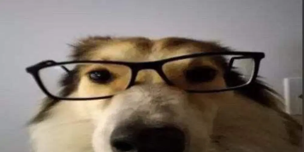 Imagem do grupo de WhatsApp 亗 ･ZOEIRAS AMIZADES ･亗