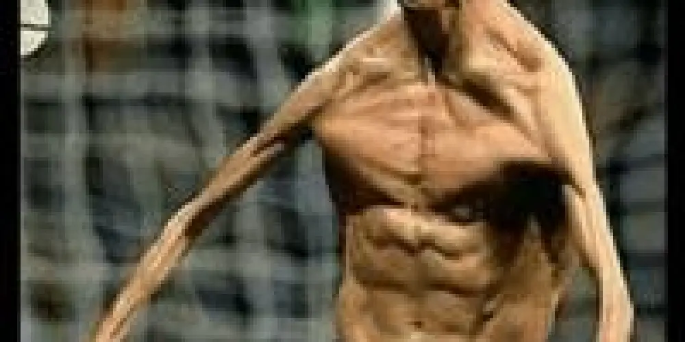 Imagem do grupo de WhatsApp Zoeiras totaaaaalll🤪