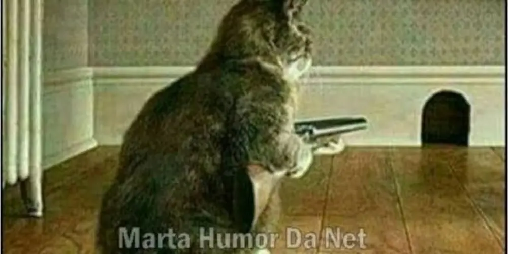 Imagem do grupo de WhatsApp 么ΖΟΕⲒᏒΛﾠ100%