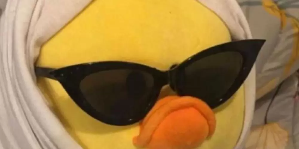 Imagem do grupo de WhatsApp Zona dos Amigos 👽💯