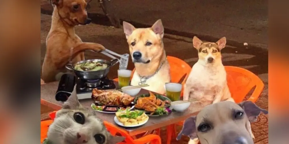 Imagem do grupo de WhatsApp Zona dos Amigos🫂