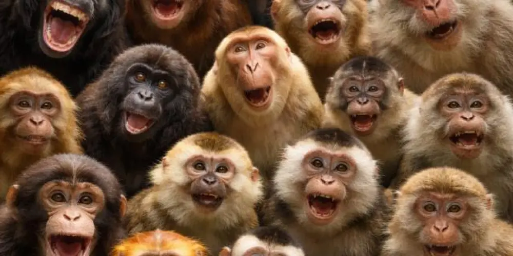 Imagem do grupo de WhatsApp 🐵🐵 ZONA DOS MACACOS  🐒🐒