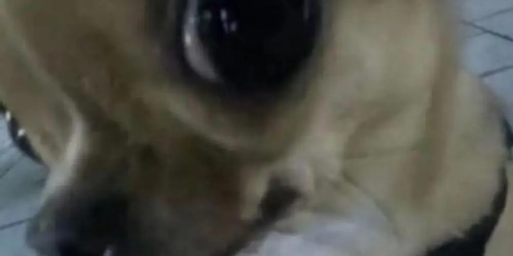 Imagem do grupo de WhatsApp Zona proibida🚫❌🔥