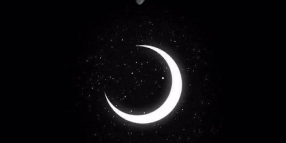 Imagem do grupo de WhatsApp *🩸『Z̷O̷N̷E̷ ✖ ²²²ᴅᴍ⁵⁵⁵』🩸*