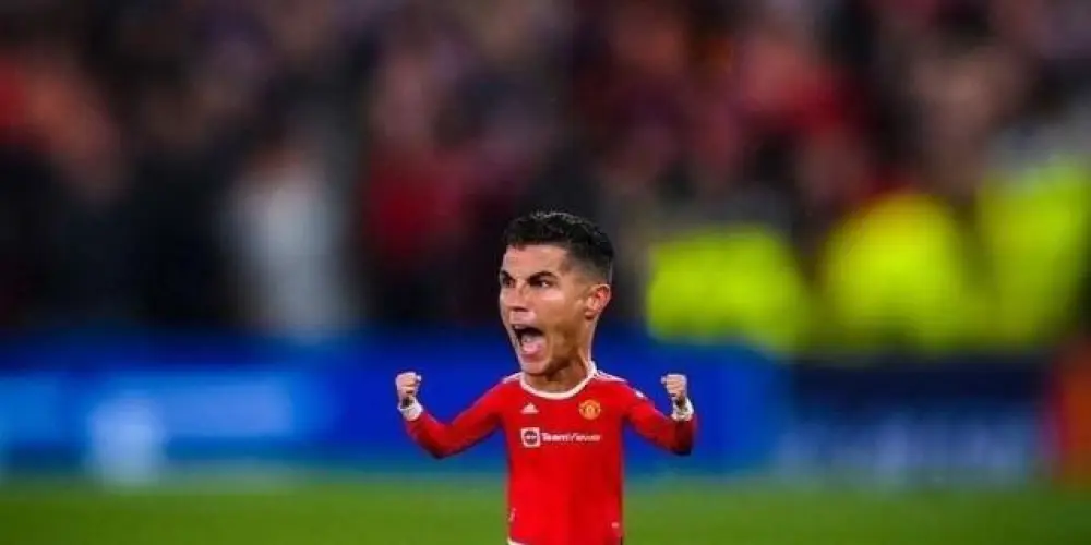 Imagem do grupo de WhatsApp zoológico city