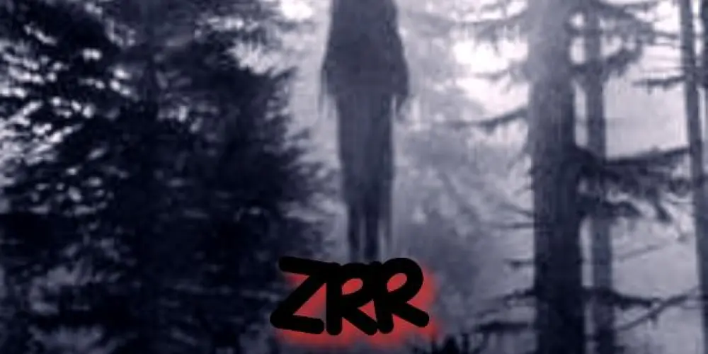 Imagem do grupo de WhatsApp 🇹🇳 ZRR  🇹🇳