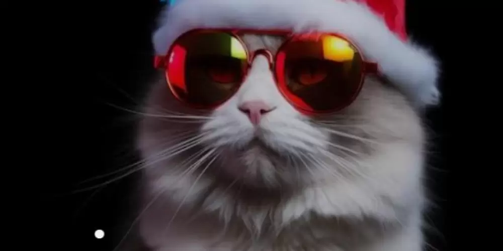 Imagem do grupo de WhatsApp Zueira 24h😎👍🏼