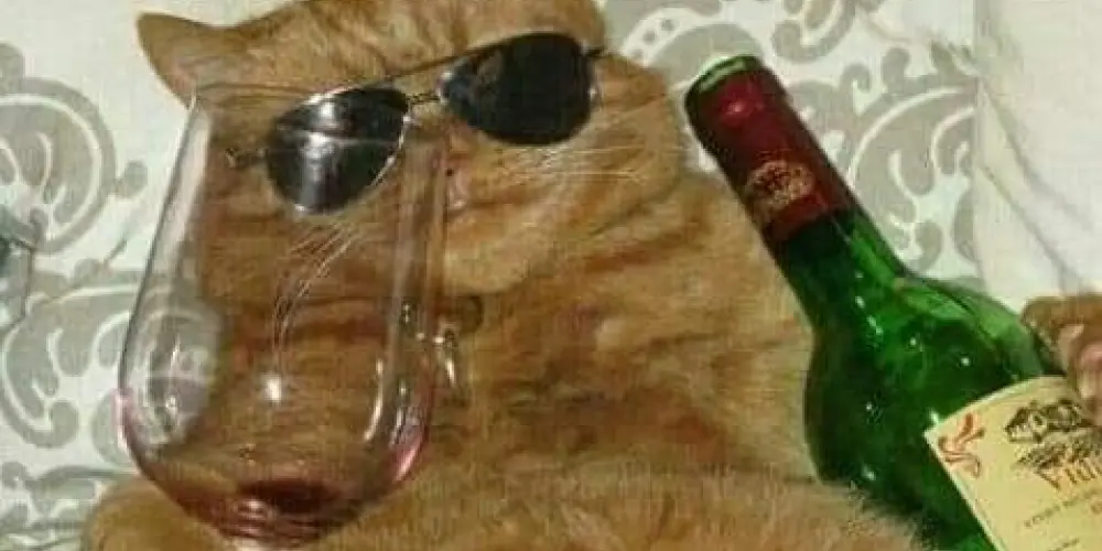 Imagem do grupo de WhatsApp Zueira 🥴