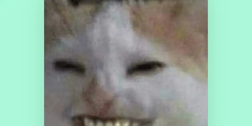 Imagem do grupo de WhatsApp ZUEIRA