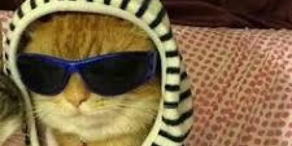 Imagem do grupo de WhatsApp ZUEIRA DA GALERA 🥳