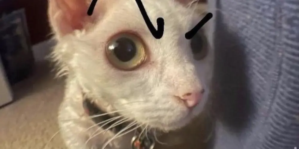 Imagem do grupo de WhatsApp Zueira e amizade