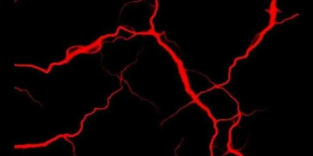 Imagem do grupo de WhatsApp Zueira e amizade