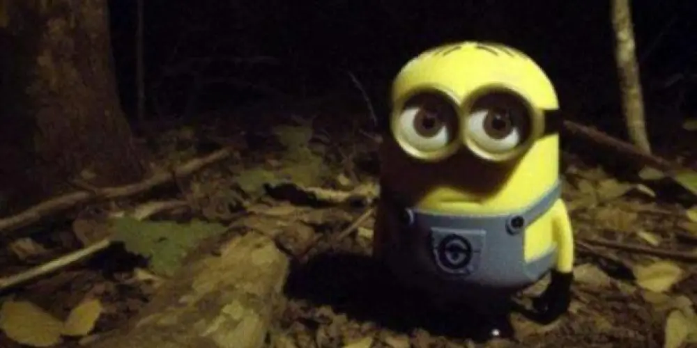 Imagem do grupo de WhatsApp Zueira e amizade