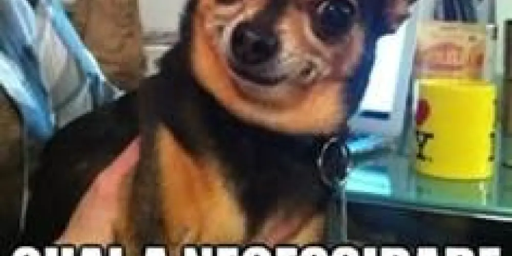 Imagem do grupo de WhatsApp 🗯️Z̶U̶e̶I̶R̶A̶ I̶n̶S̶A̶N̶A̶💭