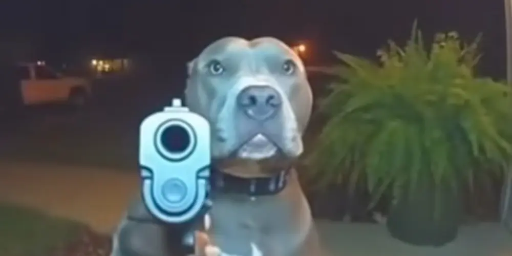 Imagem do grupo de WhatsApp Zueira sem limites