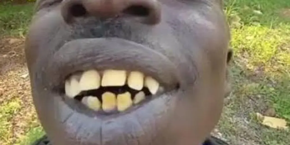 Imagem do grupo de WhatsApp Zueira sem limites e SHITPOSTER 😃🗿🌹 🍆