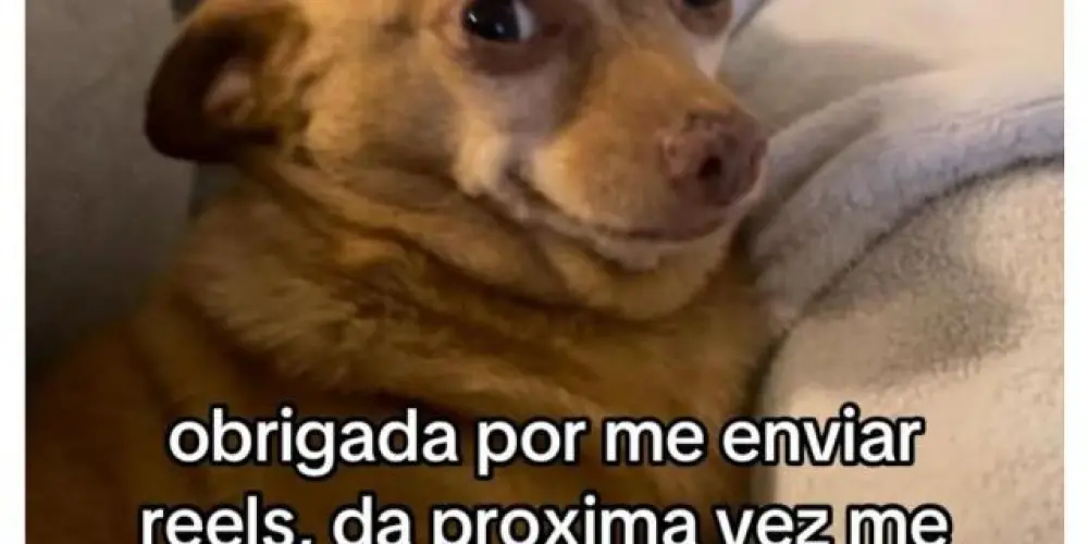 Imagem do grupo de WhatsApp Zueira total 😜🤪