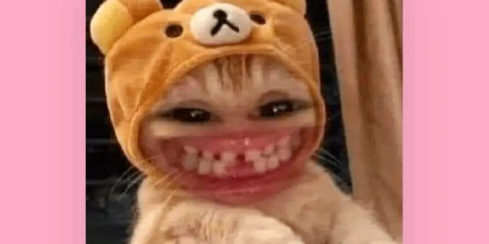 Imagem do grupo de WhatsApp Zueira total😝