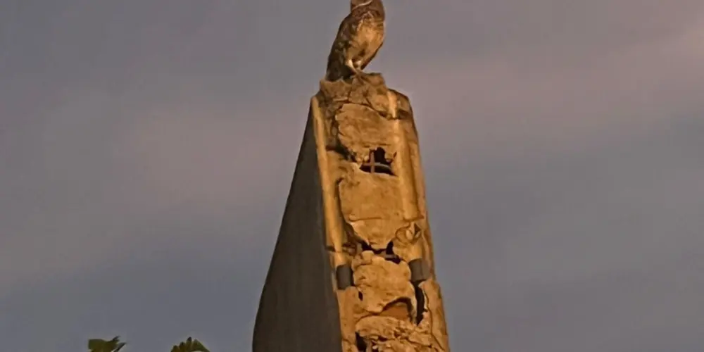 Imagem do grupo de WhatsApp Zueira total