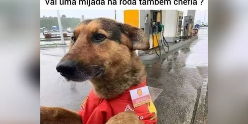 Imagem do grupo de WhatsApp ZUEIRA TOTAL