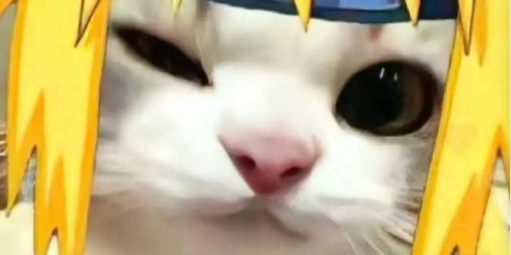 Imagem do grupo de WhatsApp Zueira total 😵‍💫€^⁠_⁠_⁠_⁠_⁠_⁠_⁠_⁠_⁠_⁠^(⁠ﾉ⁠◕⁠ヮ⁠◕⁠)⁠ﾉ⁠*⁠.⁠✧(⁠ ⁠◜⁠‿⁠◝⁠ ⁠)⁠♡