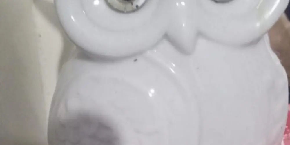 Imagem do grupo de WhatsApp Zueras