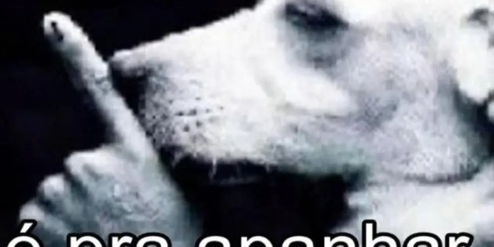 Imagem do grupo de WhatsApp Zurba