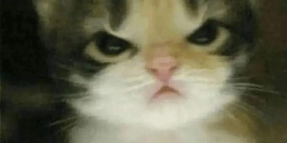 Imagem do grupo de WhatsApp ᑕᖇᗩZY ᶜʰᵃᵗ