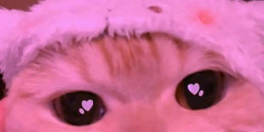 Imagem do grupo de WhatsApp 🙂‍↔️ᑕᖇᗩZY  ᑌᘉIᐯᕮᖇSᕮ ᶜʰᵃᵗ 🙂‍↕️